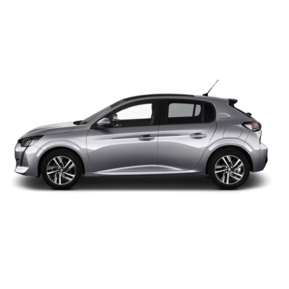 Noleggio Lungo Termine PEUGEOT 208 2