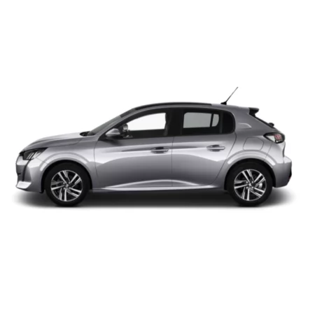 Noleggio Lungo Termine PEUGEOT 208 2