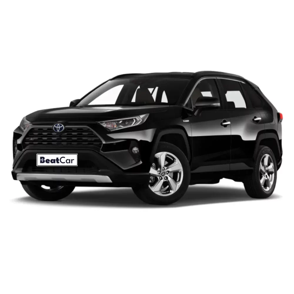 Noleggio Lungo Termine TOYOTA RAV4