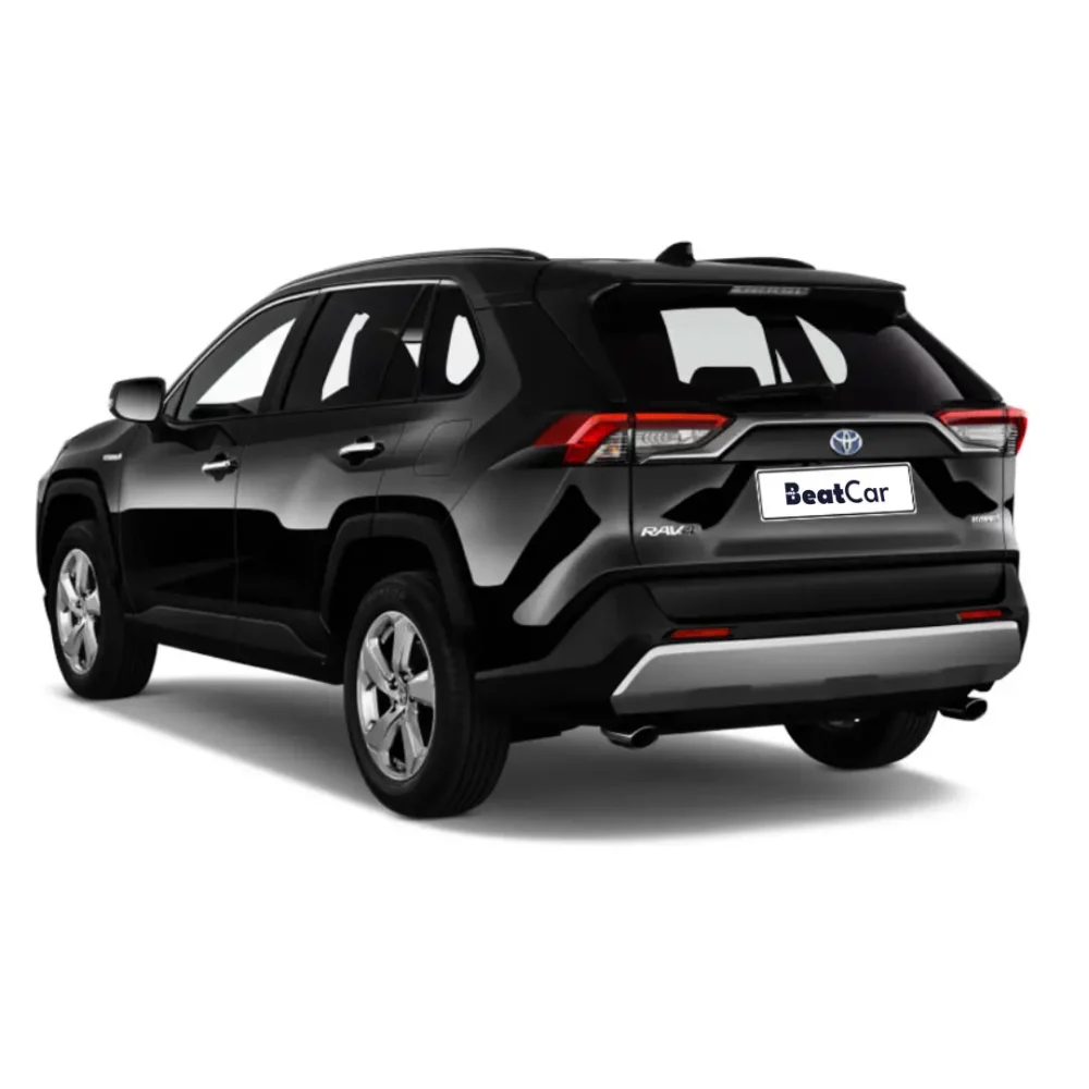 Noleggio Lungo Termine TOYOTA RAV4 2