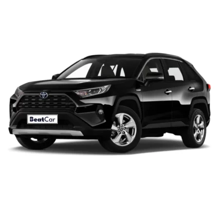 Noleggio Lungo Termine TOYOTA RAV4