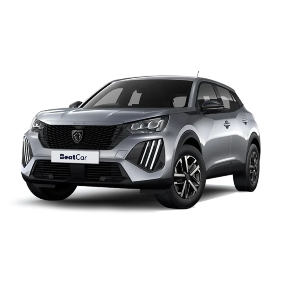 Noleggio Lungo Termine di Peugeot 2008 Elettrica