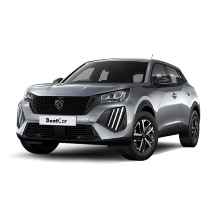 Noleggio Lungo Termine di Peugeot 2008 Elettrica